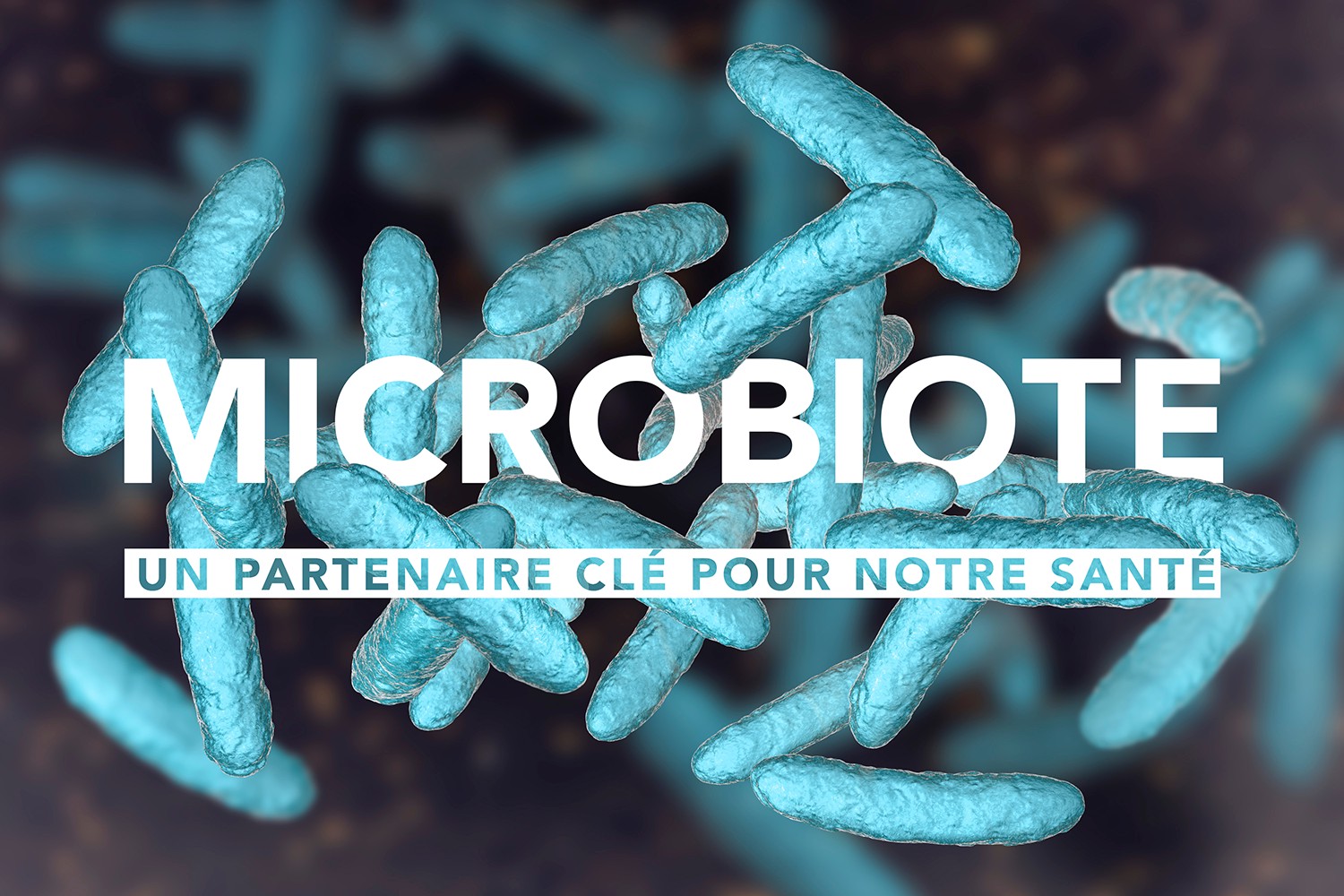 Microbiote